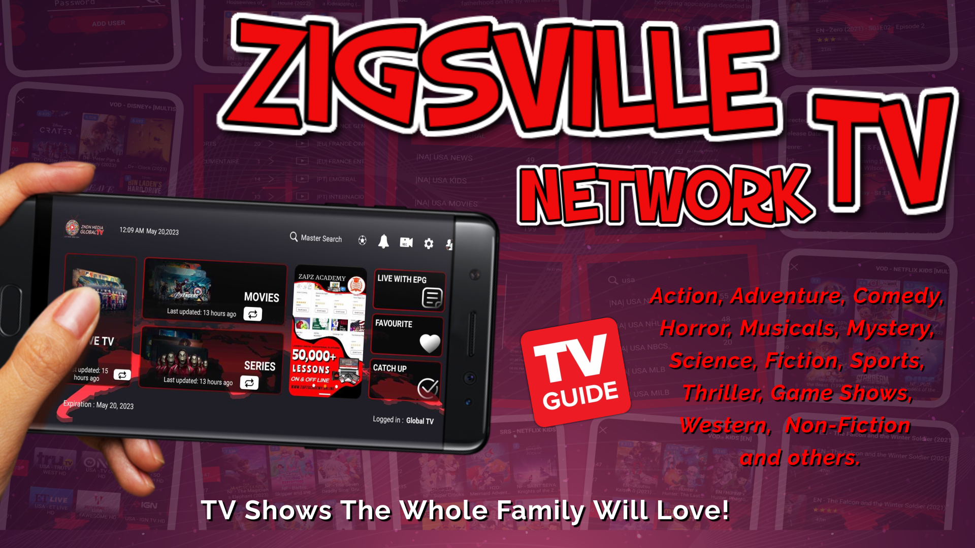 zigsville network tv